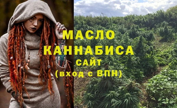 молекула духа Алексеевка