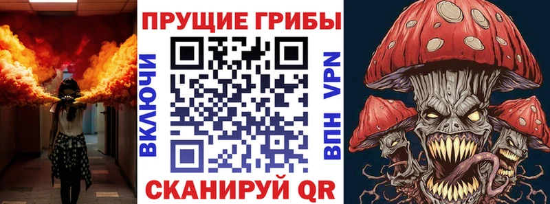 Псилоцибиновые грибы Cubensis Грязовец