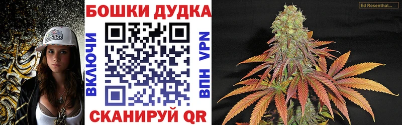KRAKEN tor  Грязовец  Бошки марихуана THC 21% 